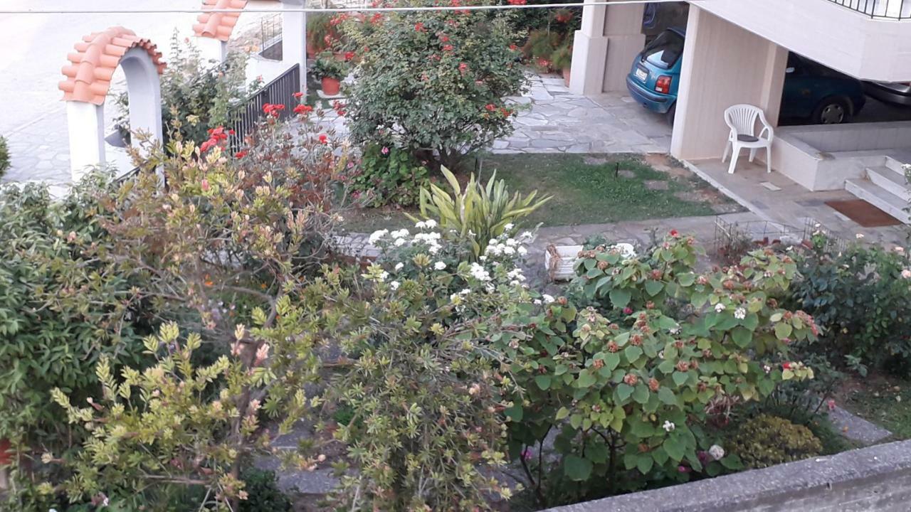 The Swan And The Gull, Porto Rafti Yacht Harbor Apartment Екстериор снимка